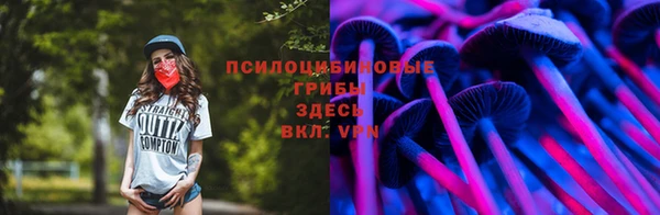 гидропоника Армянск