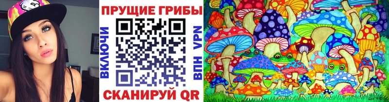 сколько стоит  Камбарка  omg сайт  Галлюциногенные грибы MAGIC MUSHROOMS 